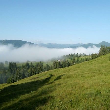 Apartmán Karpatskiy Maetok Verchovyna Exteriér fotografie